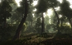 Risen (Xbox 360) Серия: Risen инфо 2414o.